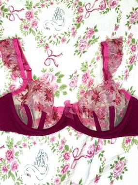 🎯LAST DROP 🍋 LOVE & LEMONS NWOT Berry Pink Sheer Bra Romantic Embroidered XS